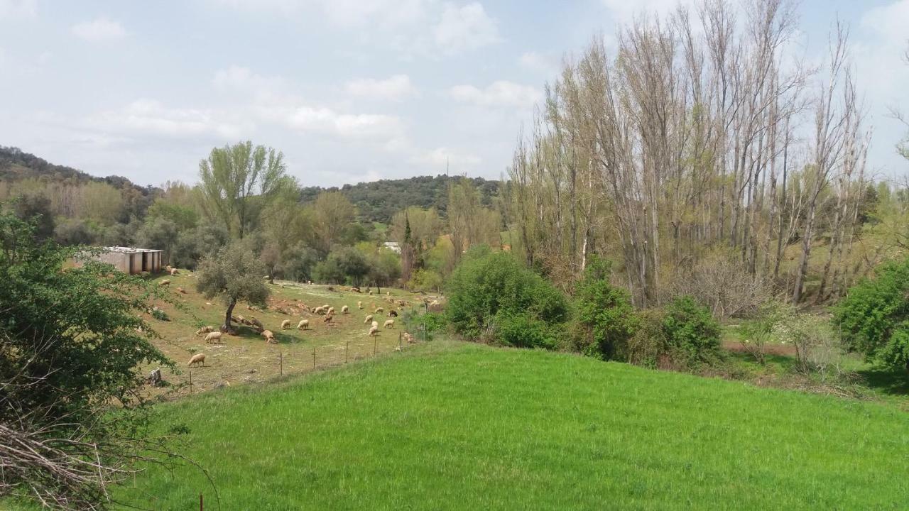 Casa Rural El Jardin Del Hueznar San Nicolás del Puerto Dış mekan fotoğraf